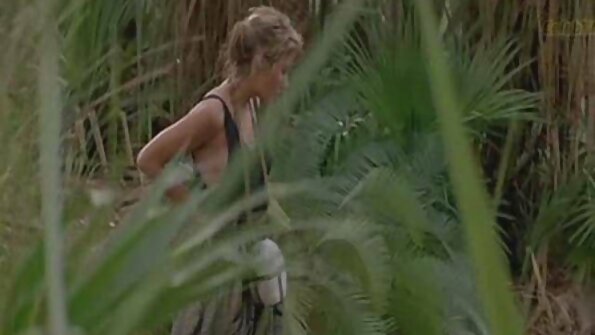 முன்னோடி நரி ஆபாச நாஸ்தியா